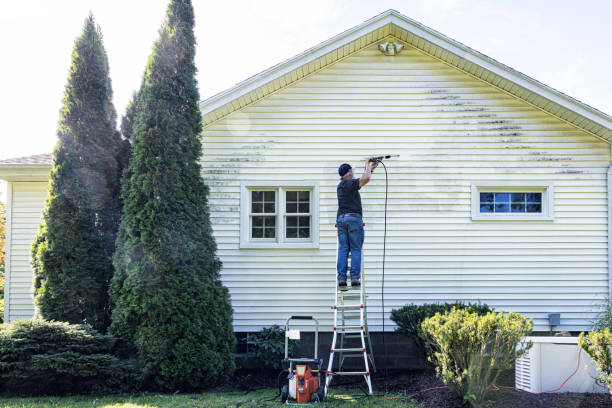 Best Driveway Pressure Washing  in Mukwonago, WI